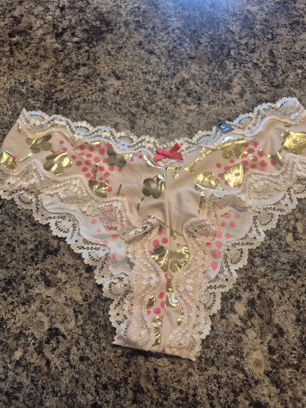 Victoria's Secret Pink Lace Hipster Panty with Gold Hearts